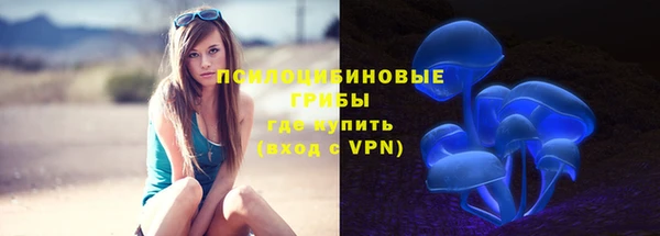 кокс Ельня