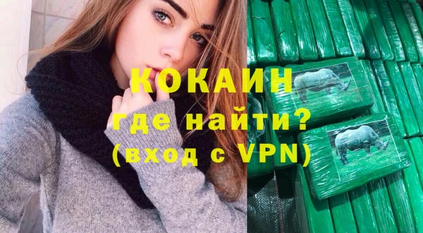 кокс Ельня