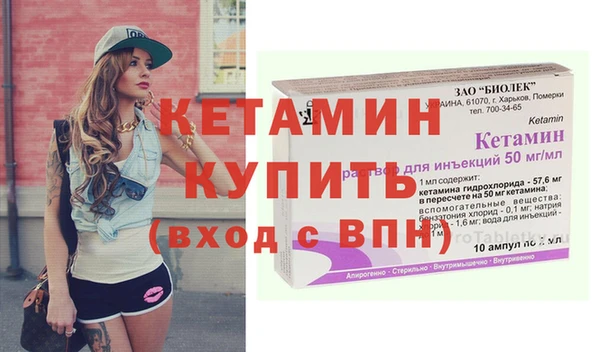 шишки Дмитриев